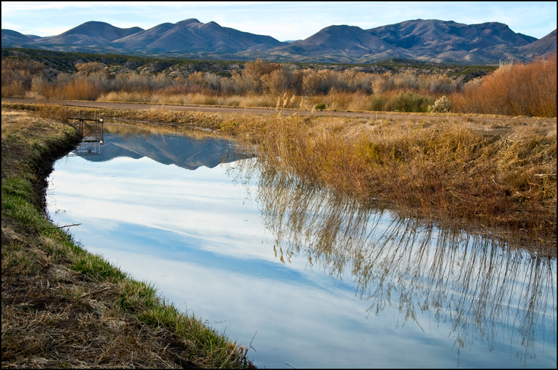 Bosque del Apache Photo 10